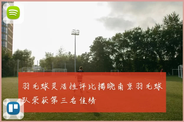 羽毛球灵活性评比揭晓南京羽毛球队荣获第三名佳绩