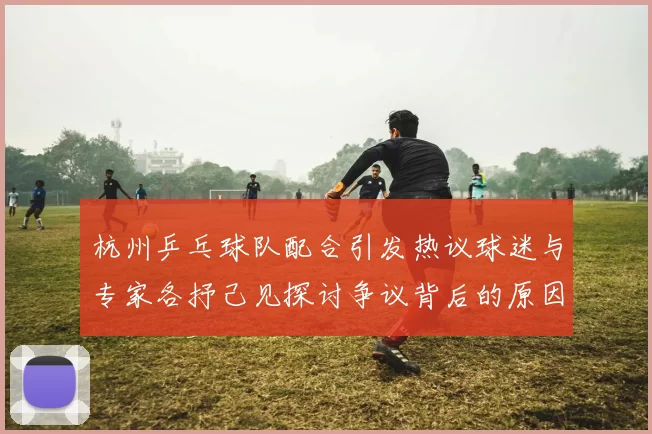 杭州乒乓球队配合引发热议球迷与专家各抒己见探讨争议背后的原因