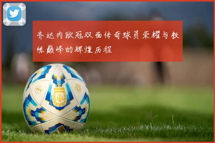 齐达内欧冠双面传奇球员荣耀与教练巅峰的辉煌历程