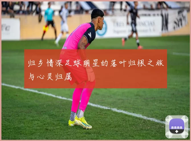 归乡情深足球明星的落叶归根之旅与心灵归属