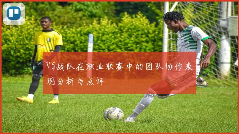 V5战队在职业联赛中的团队协作表现分析与点评