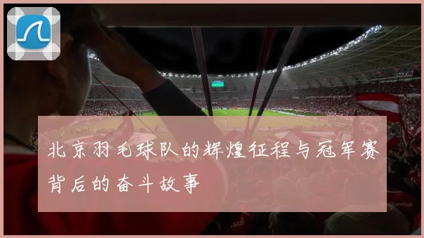 北京羽毛球队的辉煌征程与冠军赛背后的奋斗故事