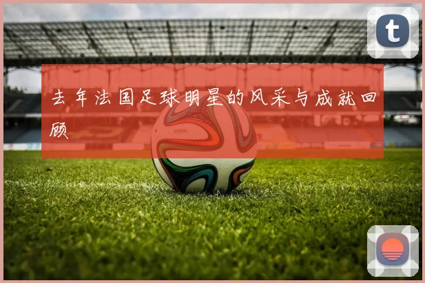 去年法国足球明星的风采与成就回顾