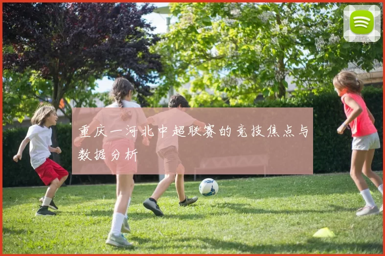 重庆一河北中超联赛的竞技焦点与数据分析