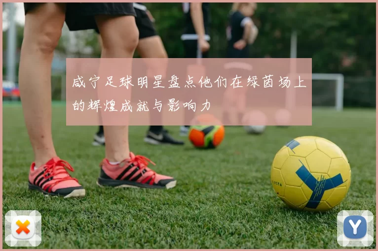 咸宁足球明星盘点他们在绿茵场上的辉煌成就与影响力