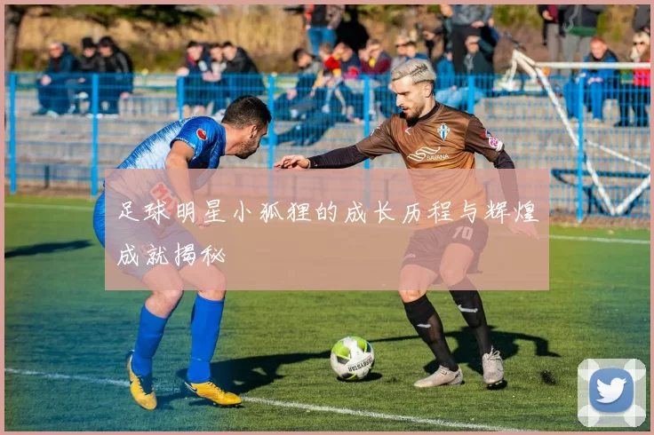 足球明星小狐狸的成长历程与辉煌成就揭秘