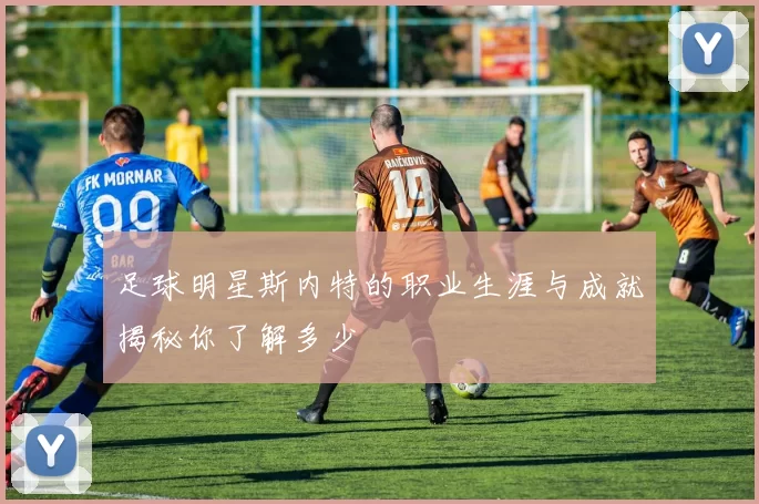 足球明星斯内特的职业生涯与成就揭秘你了解多少
