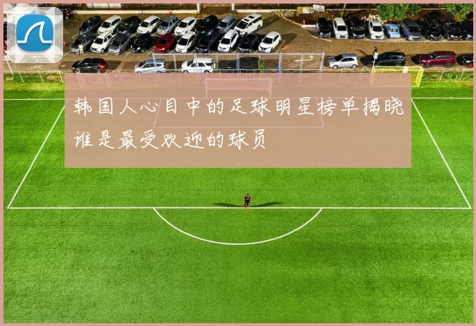 韩国人心目中的足球明星榜单揭晓谁是最受欢迎的球员