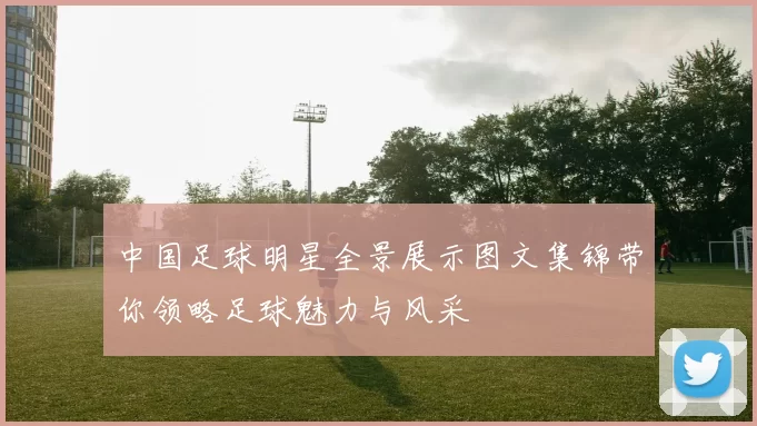 中国足球明星全景展示图文集锦带你领略足球魅力与风采