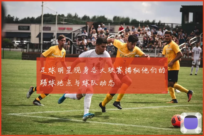 足球明星现身各大联赛揭秘他们的踢球地点与球队动态