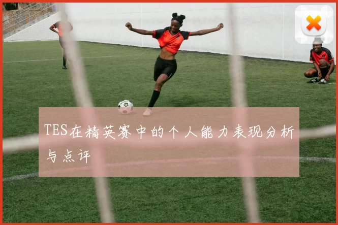 TES在精英赛中的个人能力表现分析与点评