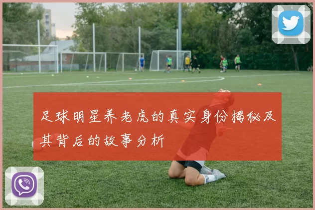 足球明星养老虎的真实身份揭秘及其背后的故事分析