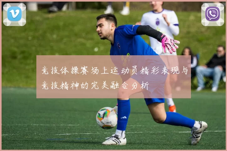 竞技体操赛场上运动员精彩表现与竞技精神的完美融合分析