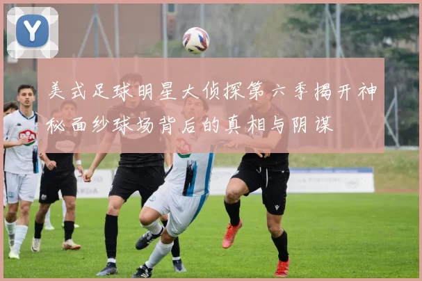 美式足球明星大侦探第六季揭开神秘面纱球场背后的真相与阴谋