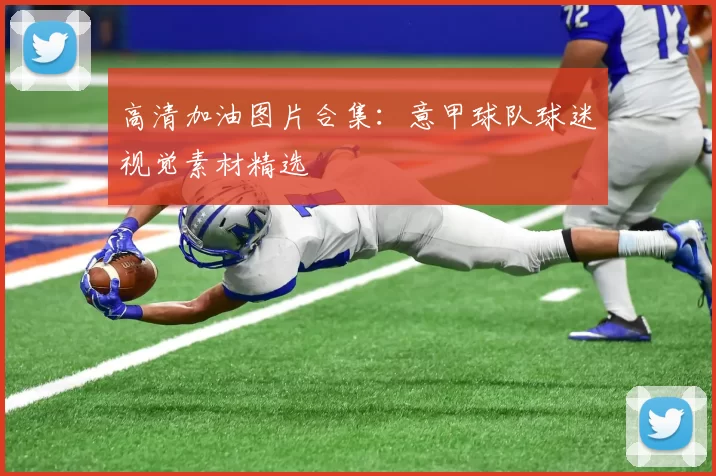 高清加油图片合集：意甲球队球迷视觉素材精选