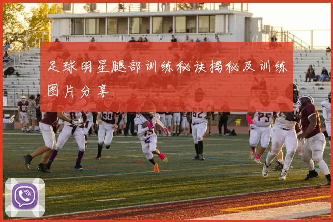 足球明星腿部训练秘诀揭秘及训练图片分享