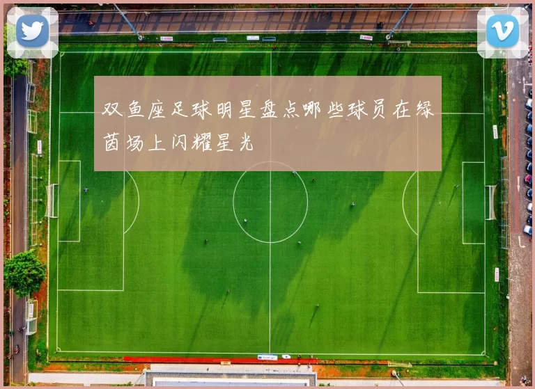 双鱼座足球明星盘点哪些球员在绿茵场上闪耀星光
