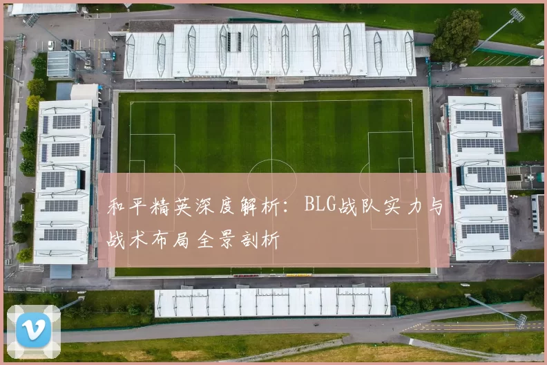 和平精英深度解析：BLG战队实力与战术布局全景剖析