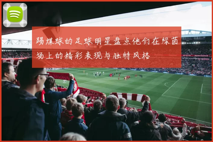 踢煤球的足球明星盘点他们在绿茵场上的精彩表现与独特风格