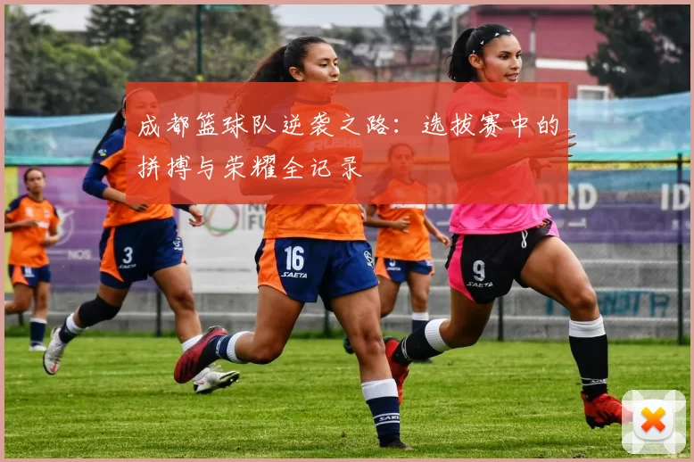 成都篮球队逆袭之路：选拔赛中的拼搏与荣耀全记录