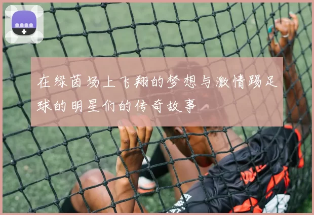 在绿茵场上飞翔的梦想与激情踢足球的明星们的传奇故事