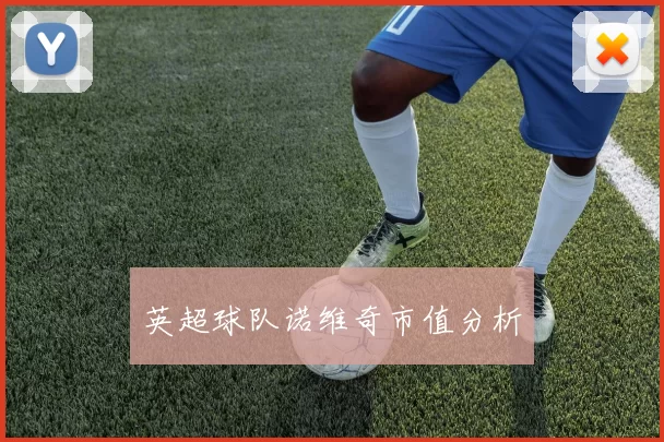 英超球队诺维奇市值分析