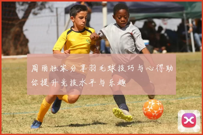 周丽独家分享羽毛球技巧与心得助你提升竞技水平与乐趣