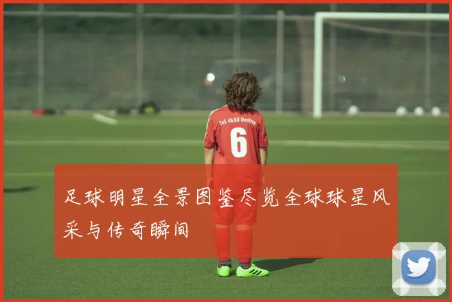 足球明星全景图鉴尽览全球球星风采与传奇瞬间